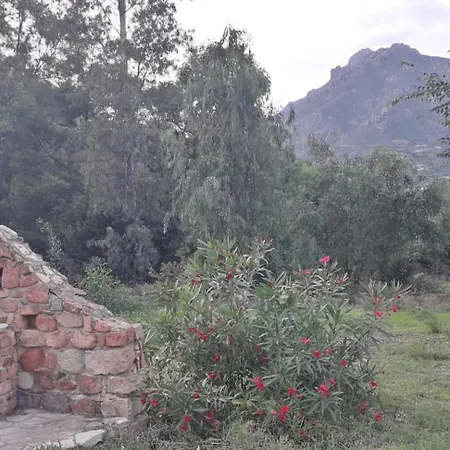 Holiday home Piera Tertenia