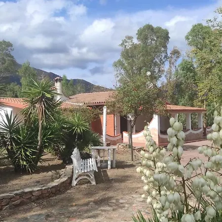 Piera Tertenia