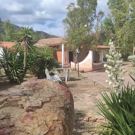 Piera
